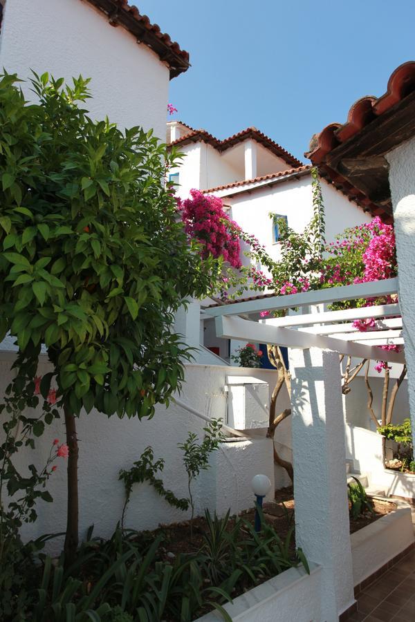 Hotel Elena Syvota Zewnętrze zdjęcie